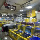 아라회대게 | 🤍속초여행🤍 속초 중앙시장 [아라횟집] 회 포장 후기