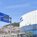 미하가든 | 엄마랑 4월 2박3일 여행 강릉 묵호 코스 추천 후기(감자유원지,안목해변,경포호,육영탕수육,오핑하우스...