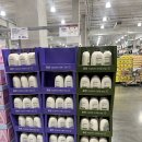 4공단로1L-27 | [코스트코 추천템] 아비노 데일리 모이스춰라이징 로션 1L 대용량 구매 후기 (할인 정보)