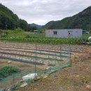 무주읍225 이미지