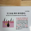 왁싱에진심 | 분당 죽전 웨딩전 전체 왁싱 후기 왁싱에진심