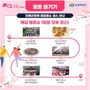 용원베스킨라빈스 앞 | [남해여행] 으르신들과 떠나는 아랫마을 1편 - 진해군항제 / 경화역 / 여좌천 / 돈미가옥