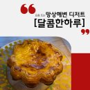 [강원 동해] 달콤한하루｜디저트가 일품인 동해 아기자기 카페 후기