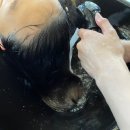 준앤민하우스 | 굵은 레이어드펌을 잘하는 탄방동미용실 준앤민하우스를 소개합니다.