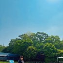 쇄질 | 9月 2주 차 : 휴가 때 가볼 만한 경기도 카페 다위스, 맛집 투어, 커플복권 후기(feat. 스즈메의문단속)