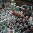 뉴서울장 이미지