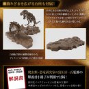 트리케라톱스-1 이미지