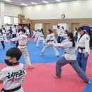 동아대태권도장 이미지