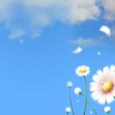 김동규 10월의 어느 멋진 날에 이미지