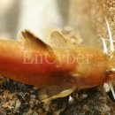 민물나라 이미지