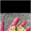 올케어 강남 이미지