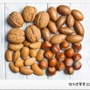 대가연 네이버블로그
