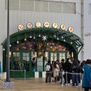 펭귄수예 | 나고야 교토 여행 [3, 4일차] | 지브리파크, 나고야역 캐리어 보관, 나고야 실바니안 공식샵 위치, 교토...