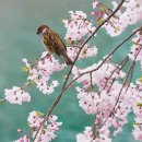 꽃길만걷자 이미지