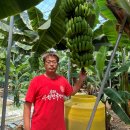 주식회사 스마일팜 이미지