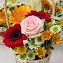 구로삼성어린이집 이미지