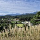 스테이 앤 다이닝 산 이미지