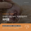 심동물병원