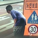 주정차-55 이미지