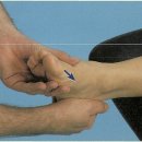 (평가)subtalar joint rotatoric test 이미지