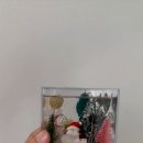 [10/10] 프리저브드 플라워 하바리움 - 원데이 클래스 이미지