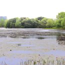 정희농장 이미지