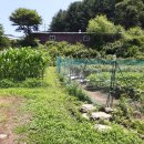 강하보건지소 이미지