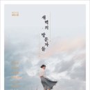 도란 이미지