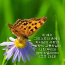 (주)사랑교통 이미지