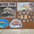 🐢거북이와 🐌 달팽이 이미지