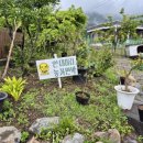 안대머리농가민박 이미지