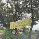 편안한 밥상 | [용인 고기동 맛집] 🌿 뜰사랑: 14가지 산채 정식 한정식! 속 편안한 힐링 밥상