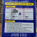 세이프존(보령점) | 대천해수욕장 국민여가캠핑장 제1야영장 이용후기