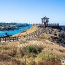 닭머르해안길 이미지