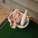 초곡스크린골프 이미지