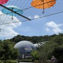 키플래닛 | 서울대공원 키즈카페 그라운드플래닛 내돈내산 후기 (36개월 미만 비추천)