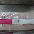 더딘하루 | [2주-6주] 임신 극초기 증상 / 느린 착상 더딘 임테기 희망편