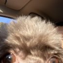 몽이묭실 이미지