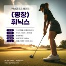 라온골프클럽휴양콘도미니엄 | 해발 700m 여름에 시원한 강원도 명문 골프장 휘닉스평창cc 1박2일 골프예약 (ft.여름골프)