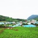 크레파스민박 이미지