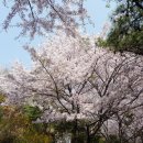 우룡산공원 이미지