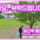 오즈의 마법사 영화 정보 및 후기 / 빅터 플레밍 감독, 출연진 : 주디 갈랜드, 마가렛 해밀턴, 프랭크 모건