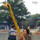 나는고양이 이미지