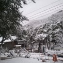 솔방울 펜션 이미지