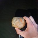 왕의길 민박 이미지