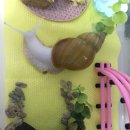 럭셔리하개 이미지