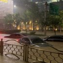 강남-023 이미지