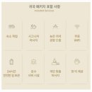 코리(kori) | 필리핀 보홀 코리스파(KORI SPA) 후기 (입국팩, 출국팩, 마사지종류)