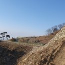 덕담오리 이미지