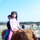 젖소목장 이미지